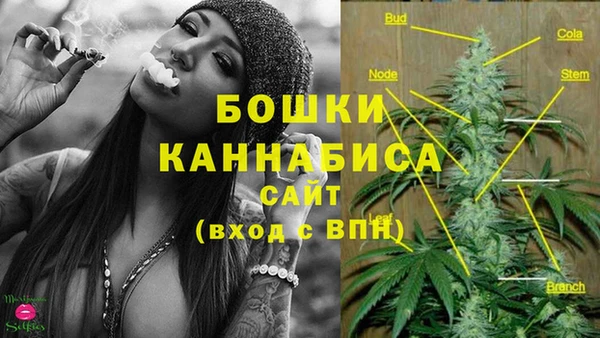 амф Аркадак