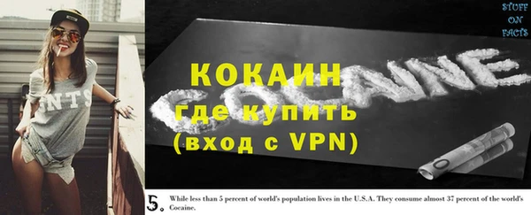 дживик Арсеньев