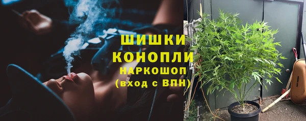 амф Аркадак