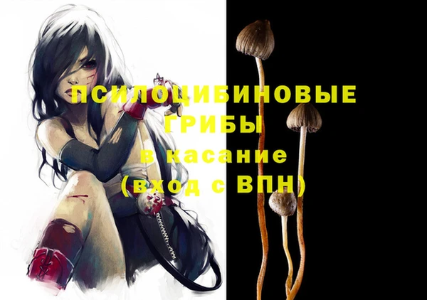 дживик Арсеньев