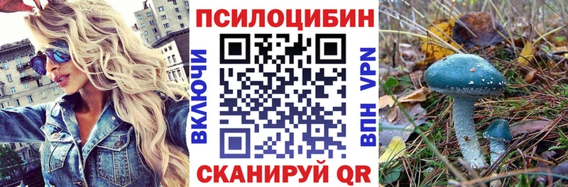 Псилоцибиновые грибы мухоморы  OMG tor  Сольвычегодск 